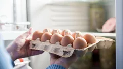 Kann man Eier auf der Kühlschranktür aufbewahren: Die häufigsten Fehler bei der Lagerung von Eiern