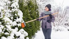 Muss man den Schnee von den Ästen im Garten abschütteln? Das raten erfahrene Gärtner