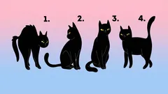 Psychologischer Test: Wählen Sie eine Katze und erfahren Sie, wie andere Sie sehen