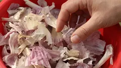 Warum erfahrene Gärtner im Winter Knoblauchschalen sammeln: Im Frühling wird das zu Gold