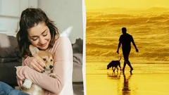 Nicht nur Hunde sind die besten Freunde des Menschen: Wer versteht Menschen noch ohne Worte?