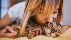 Ihre Katze liebt Sie, doch sie schweigt: 10 Gesten, die Sie vielleicht nicht bemerkt haben