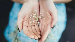 Der eigene Psychologe: So erkennen Sie den Persönlichkeitstyp eines Menschen an seinen Händen