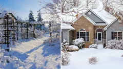 Was im Januar im Garten zu tun ist: 7 Tipps vom königlichen Gärtner