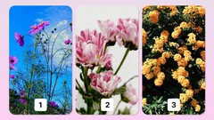 Psychologischer Test: Wähle eine Blume und entdecke dein grösstes Talent
