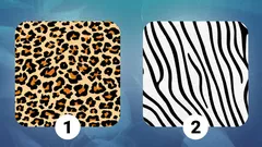 Herz oder Verstand: Wähle ein Muster und finde heraus, was dich wirklich steuert