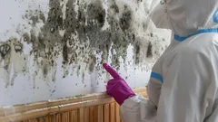 Dieses Hausmittel beseitigt Schimmel in einer Stunde: ideal für das Bad und für Wände